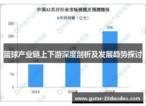 篮球产业链上下游深度剖析及发展趋势探讨