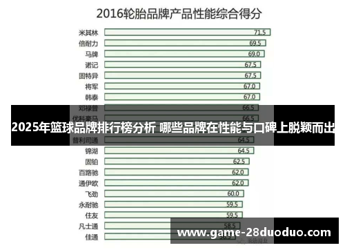 2025年篮球品牌排行榜分析 哪些品牌在性能与口碑上脱颖而出