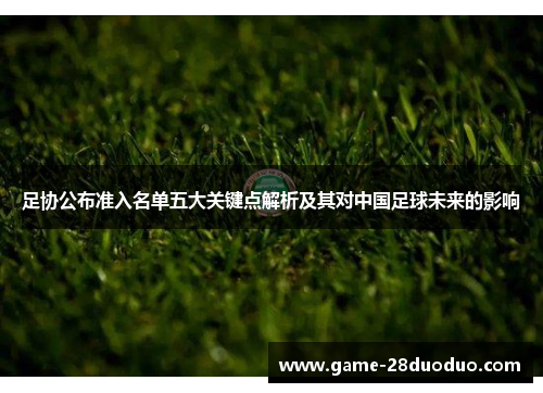 足协公布准入名单五大关键点解析及其对中国足球未来的影响