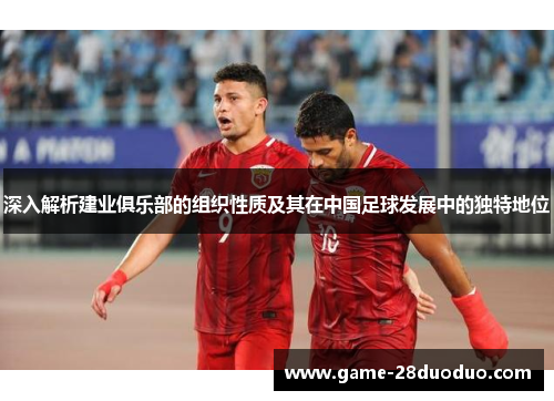 深入解析建业俱乐部的组织性质及其在中国足球发展中的独特地位